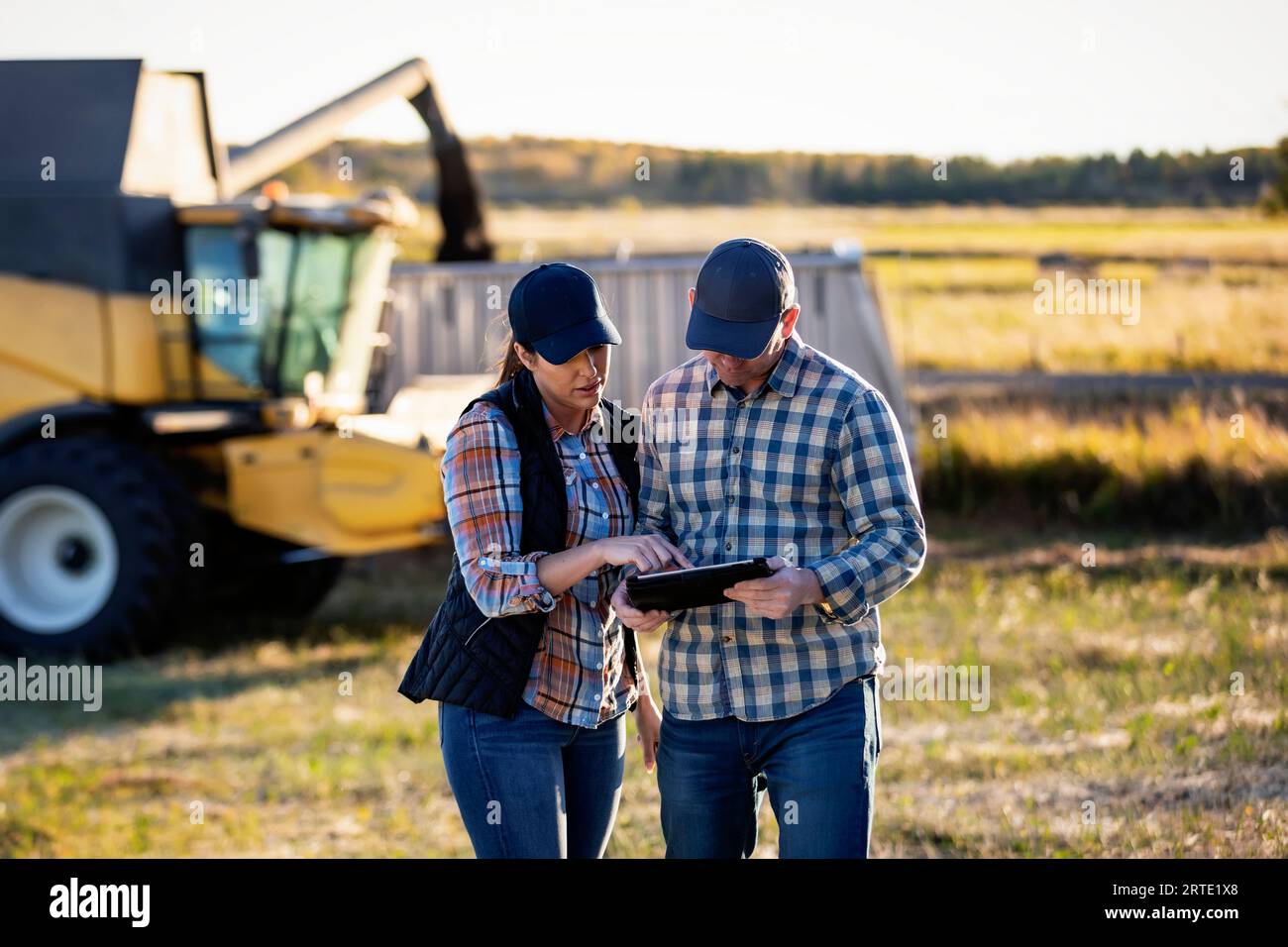 Una coppia di aziende agricole che utilizza un dispositivo wireless portatile per gestire e monitorare la resa durante la raccolta di canole in autunno, in piedi davanti a una mietitrebbia h... Foto Stock