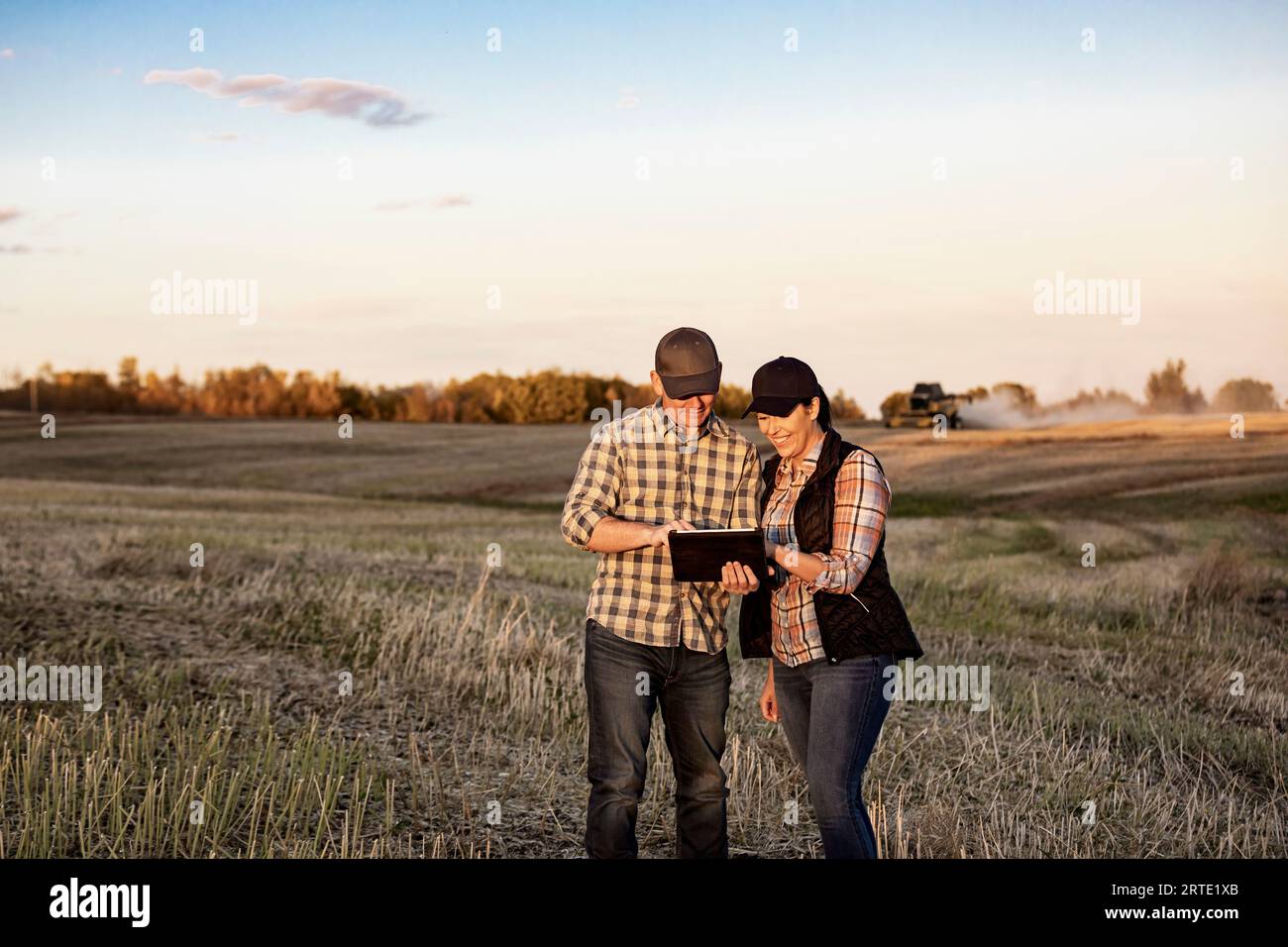 Un marito e una moglie in piedi nei campi al tramonto, che utilizzano un dispositivo wireless portatile per gestire e monitorare la loro caduta, la raccolta di canola con una combinazione... Foto Stock