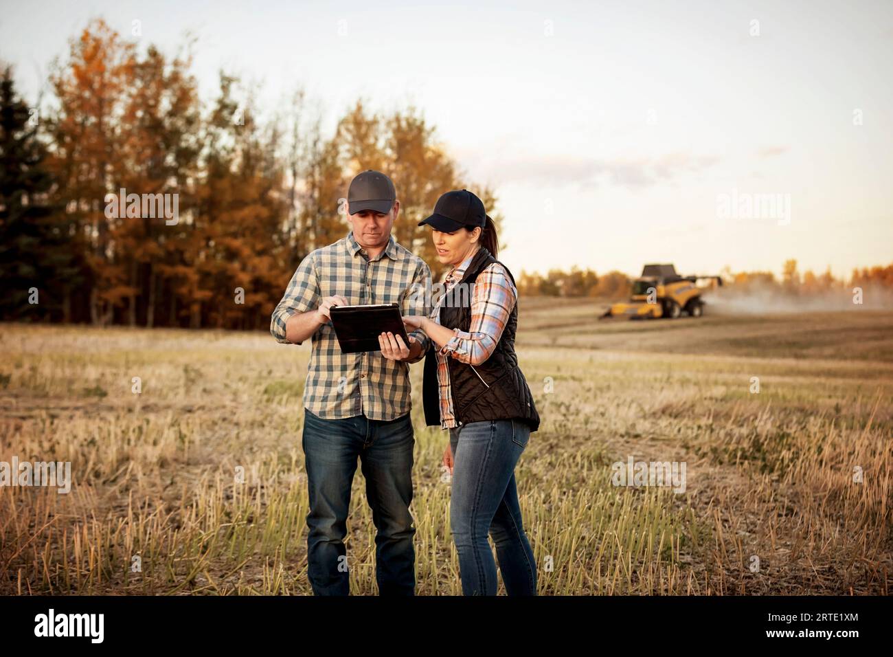 Un marito e una moglie in piedi nei campi al tramonto, che utilizzano un dispositivo wireless portatile per gestire e monitorare la loro caduta, la raccolta di canola con una combinazione... Foto Stock