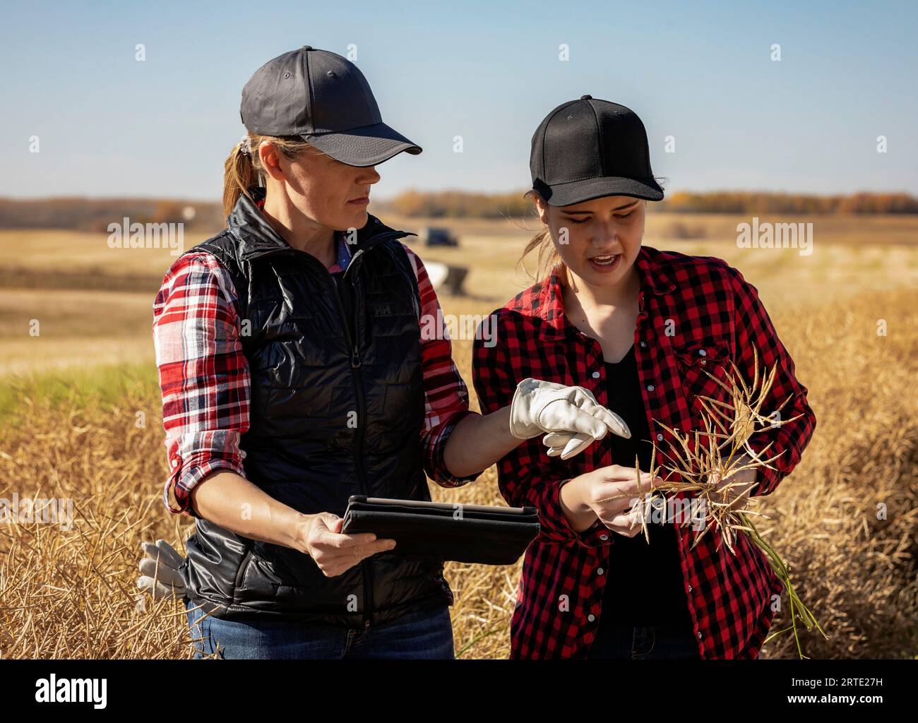 Una donna contadina in piedi nei campi che insegna al suo apprendista le moderne tecniche agricole per le colture di canola utilizzando tecnologie wireless e agri... Foto Stock