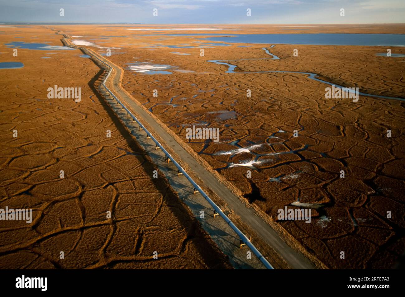 Vista aerea dell'oleodotto sulla tundra; North Slope, Alaska, Stati Uniti d'America Foto Stock