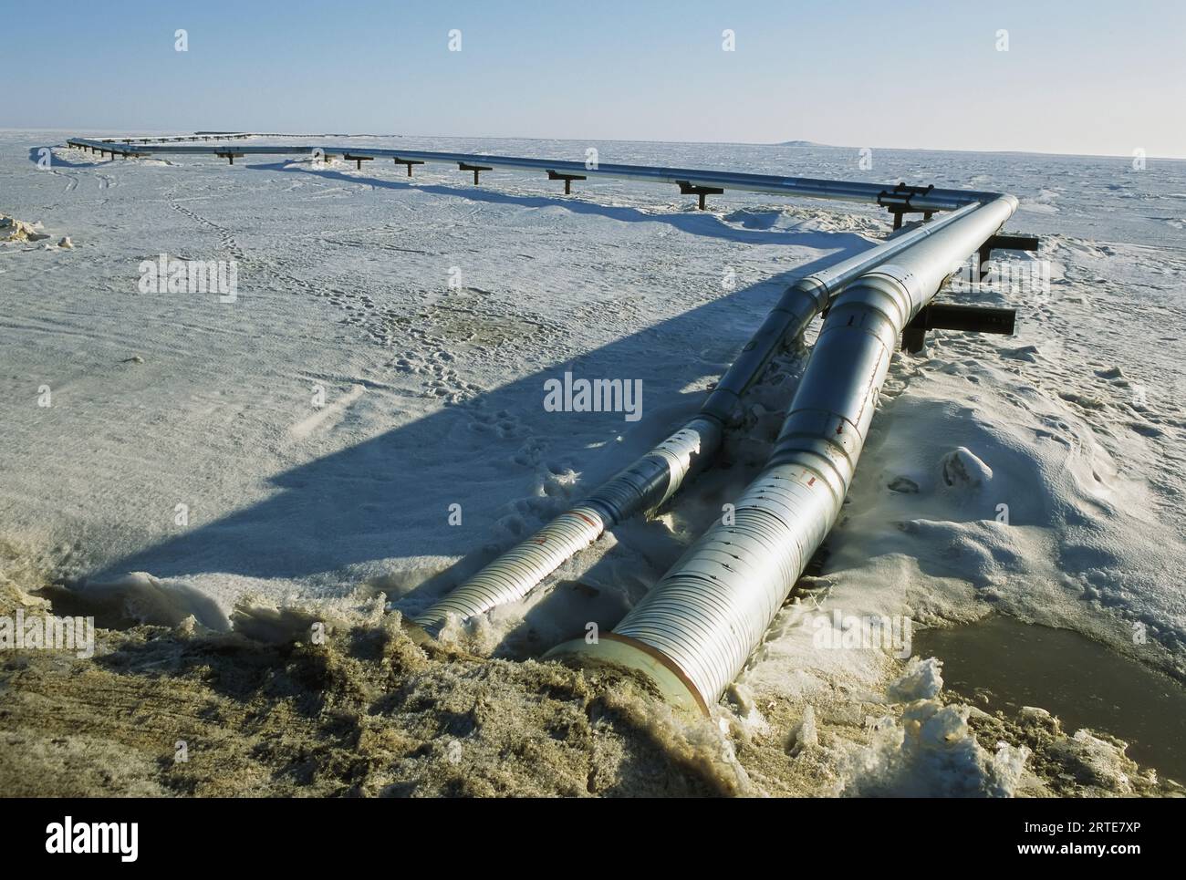Tratto dell'oleodotto Trans-Alaskan; Prudhoe Bay, Alaska, Stati Uniti d'America Foto Stock