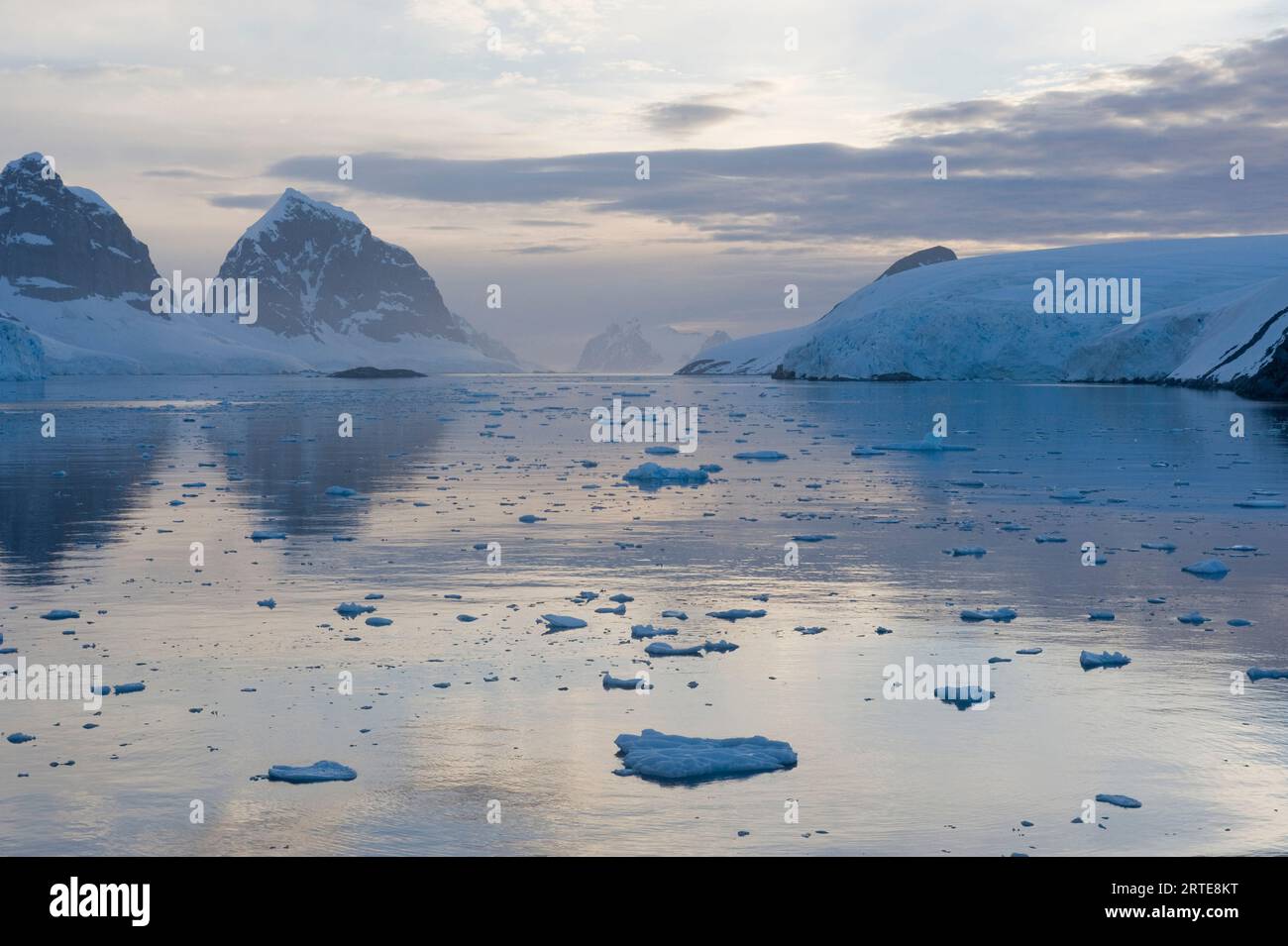 Iceberg lungo la penisola antartica, vicino al circolo polare antartico; Penisola antartica, Antartide Foto Stock
