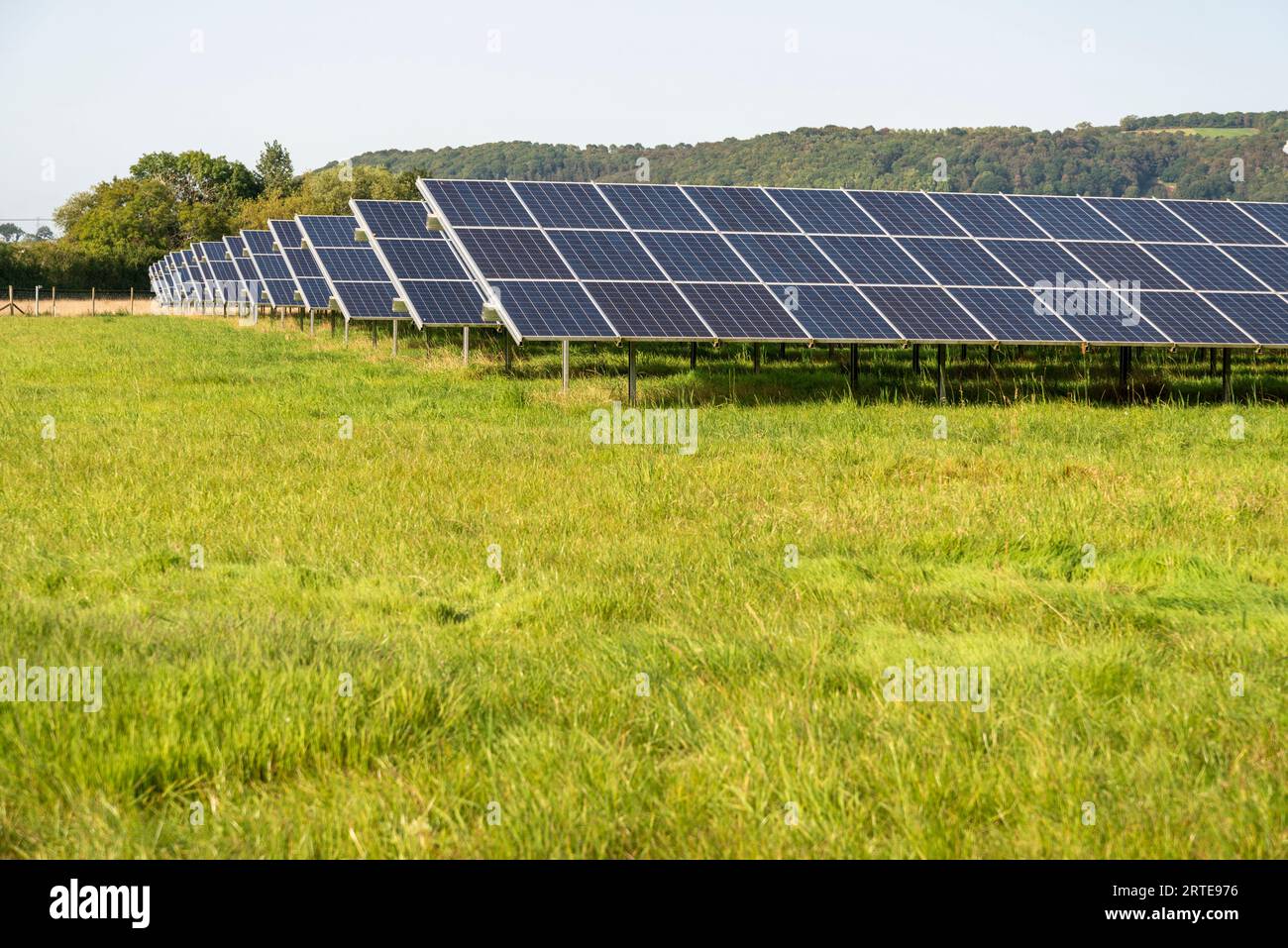 Produzione di energia solare, in un sito in campagna, durante l'estate nell'Inghilterra rurale, fornendo energia pulita e sostenibile alle aree locali e vil Foto Stock