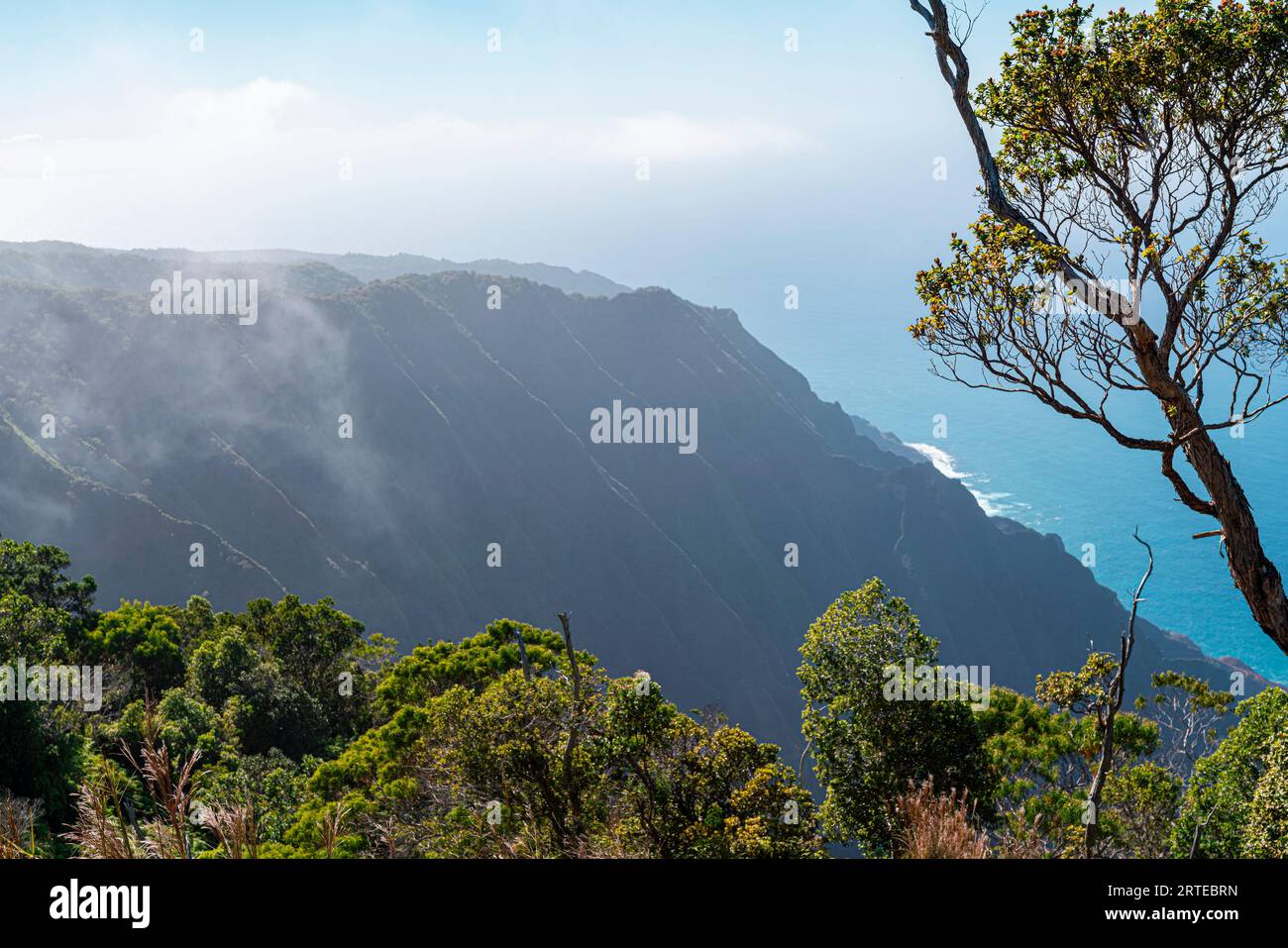 Vista nebbiosa delle verdi scogliere di montagna coperte della costa di Napali lungo il Kalalau Trail sull'isola hawaiana di Kauai che si affaccia sul blu ... Foto Stock