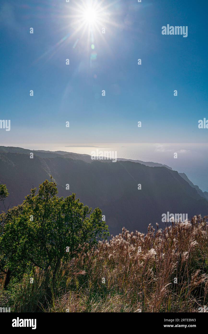 Sole luminoso che splende sulle scogliere di montagna sagomate della Napali Coast e sulla vegetazione tropicale lungo il Kalalau Trail sull'Isola Hawaiiana ... Foto Stock