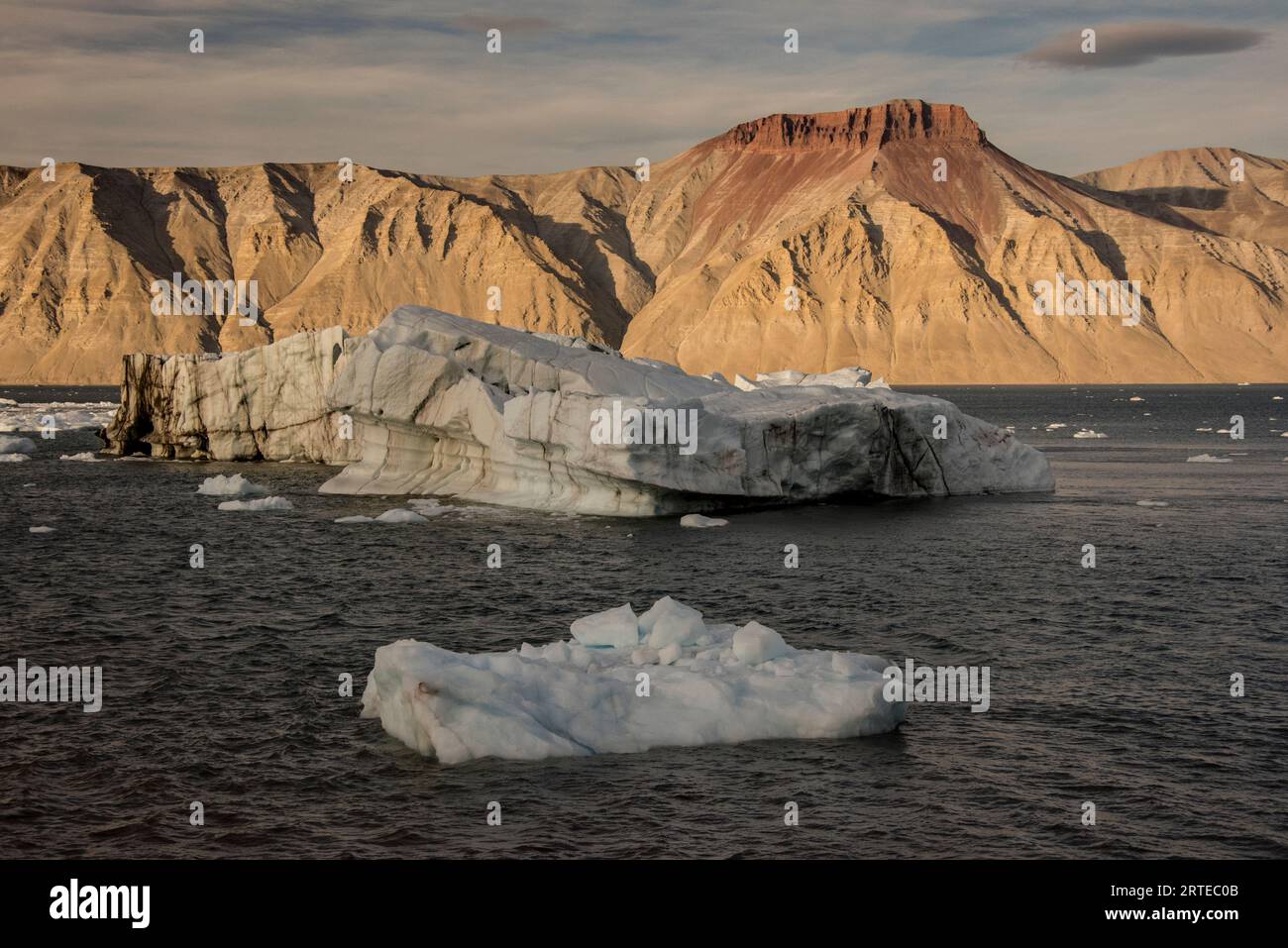 Iceberg e coltivatori galleggiano nelle acque grigie e ghiacciate del fiordo Kaiser Franz Joseph della Groenlandia con scogliere di montagna ricoperte di limo sullo sfondo Foto Stock