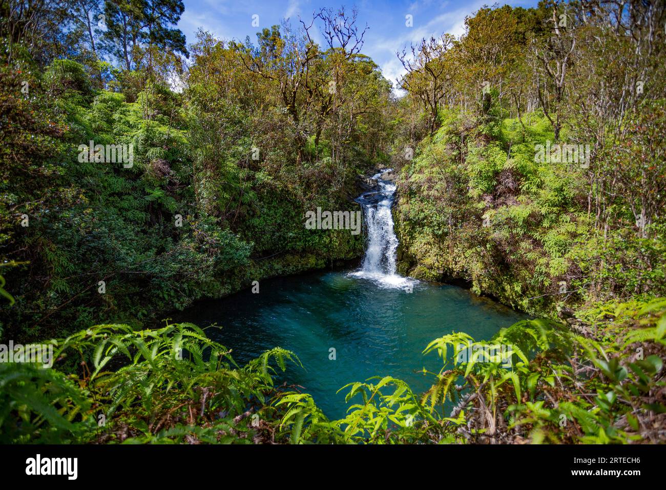 Vegetazione lussureggiante e cascata con piscina turchese lungo la strada per Hana, percorso panoramico; Maui, Hawaii, Stati Uniti d'America Foto Stock
