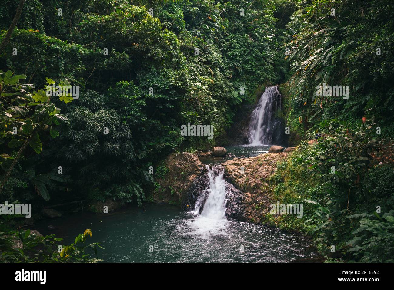 Cascate a più passi delle Seven Sisters, circondate da una vegetazione lussureggiante nel Parco Nazionale del Grand Etang Foto Stock