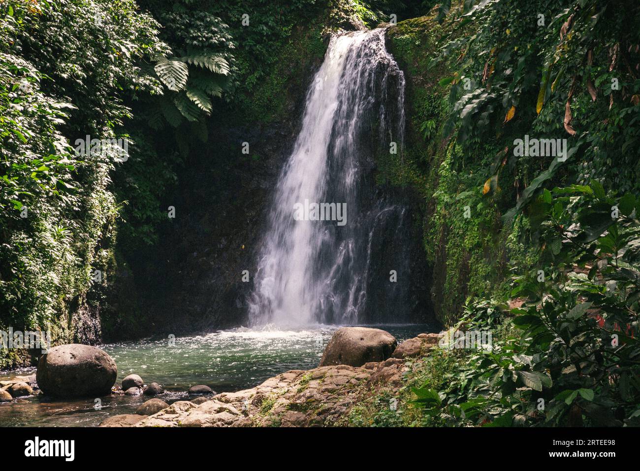 Vista ravvicinata delle cascate Seven Sisters circondate da una lussureggiante vegetazione con massi vicino al verde, piscina a immersione nel Parco Nazionale del Grand Etang Foto Stock