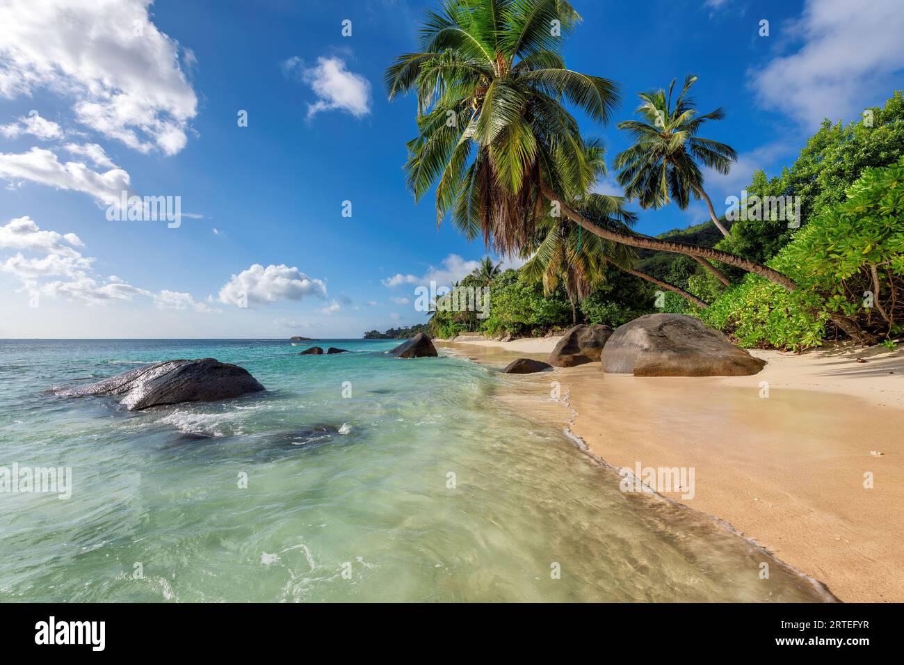 Esotica spiaggia soleggiata, palme da cocco e mare turchese nelle Seychelles Foto Stock