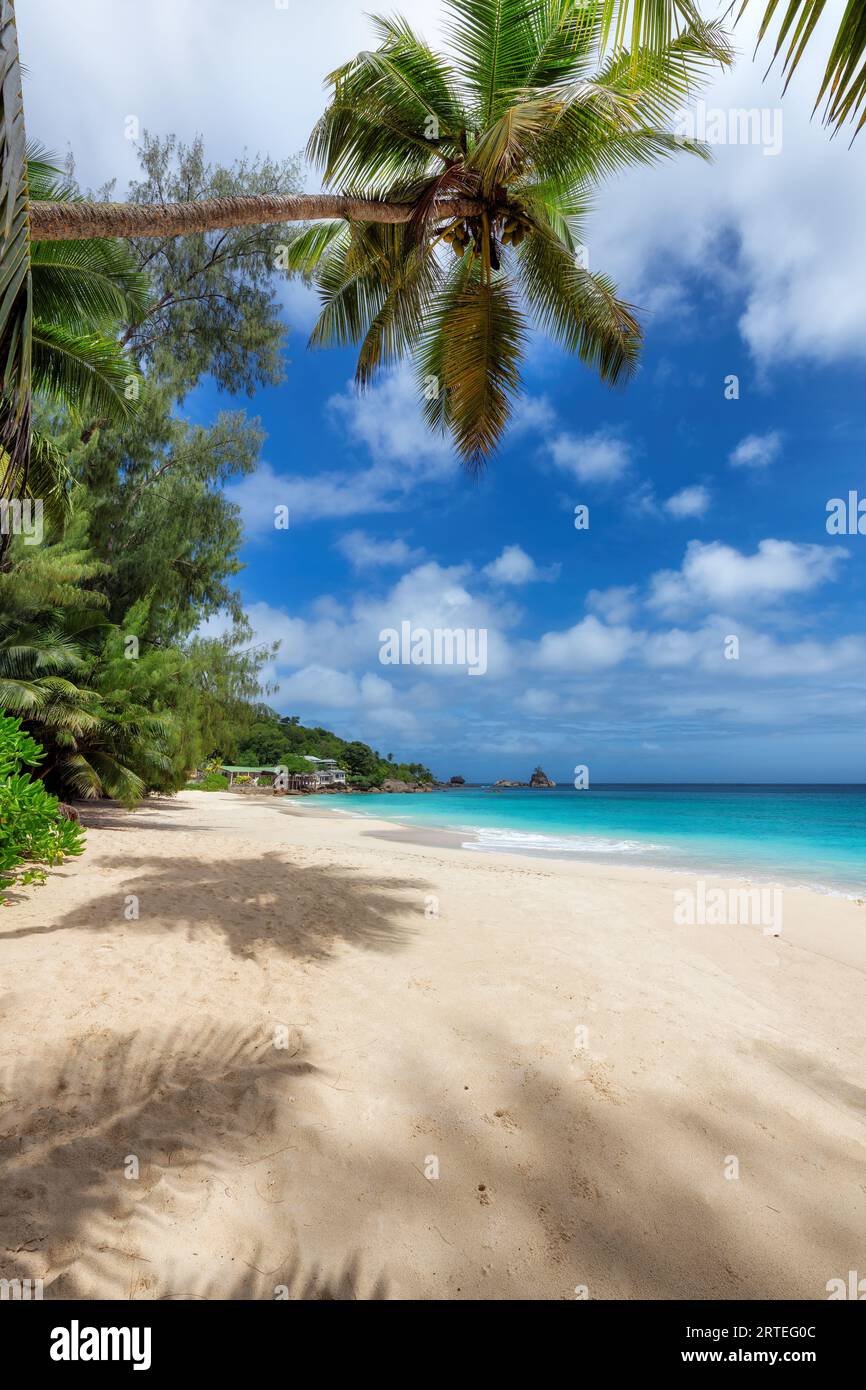 Esotica spiaggia soleggiata, palme da cocco e mare turchese nelle Seychelles Foto Stock