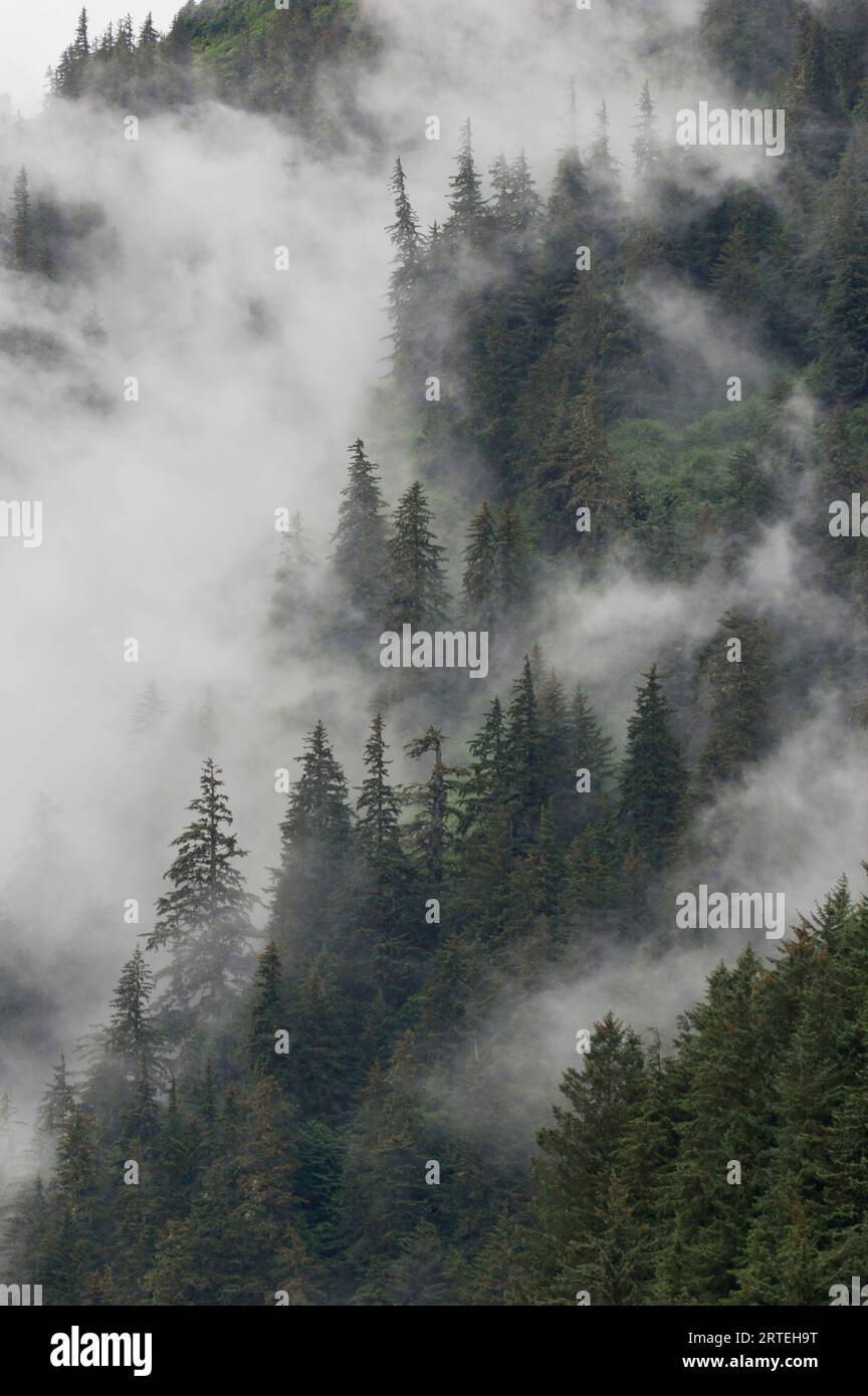 La nebbia avvolge le ripide scogliere boschive nel sud-est dell'Alaska; Juneau, Alaska, Stati Uniti d'America Foto Stock