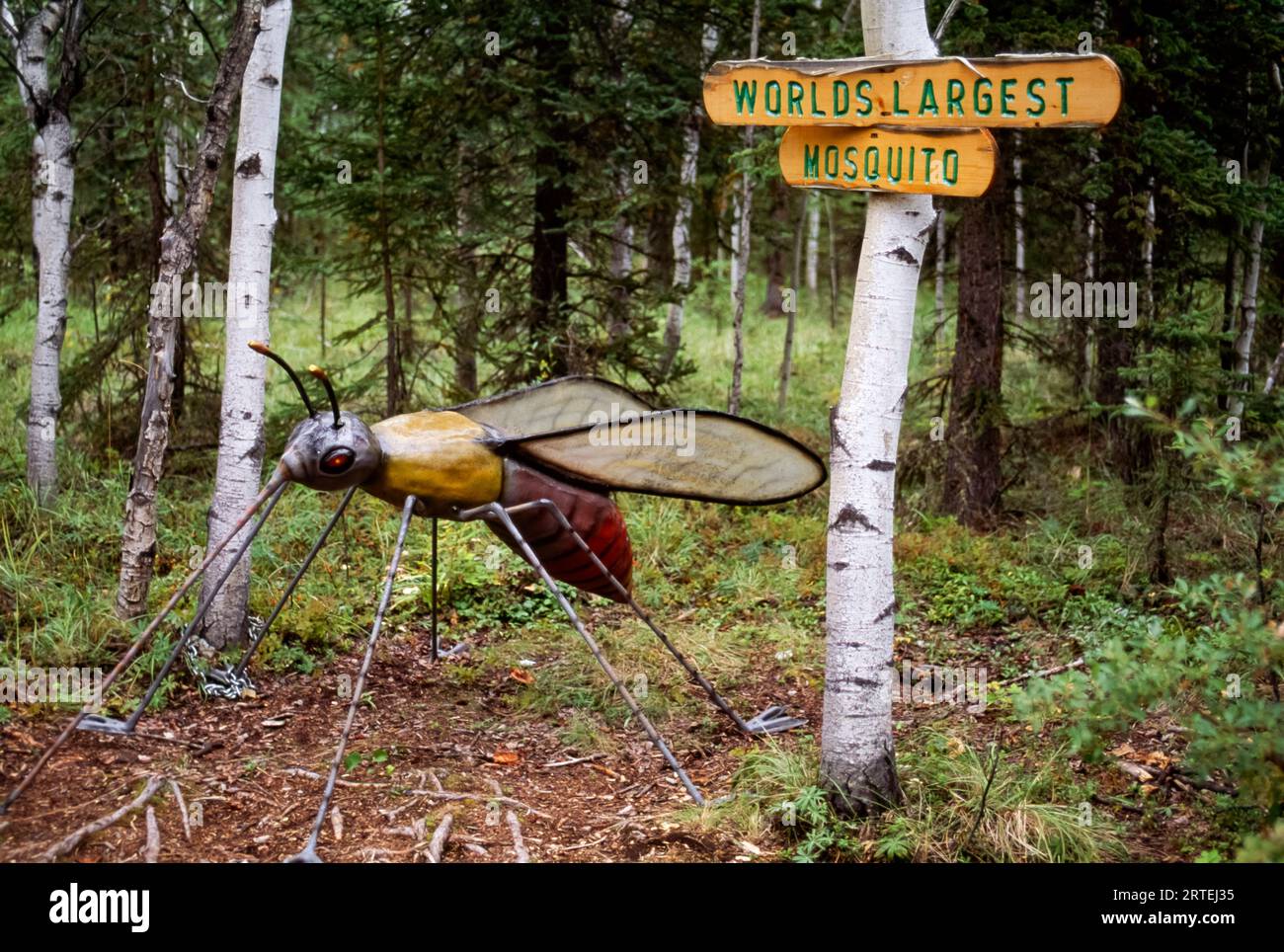 Insegna e scultura della zanzara più grande del mondo, lungo l'Alaska Highway, Alaska, Stati Uniti d'America Foto Stock