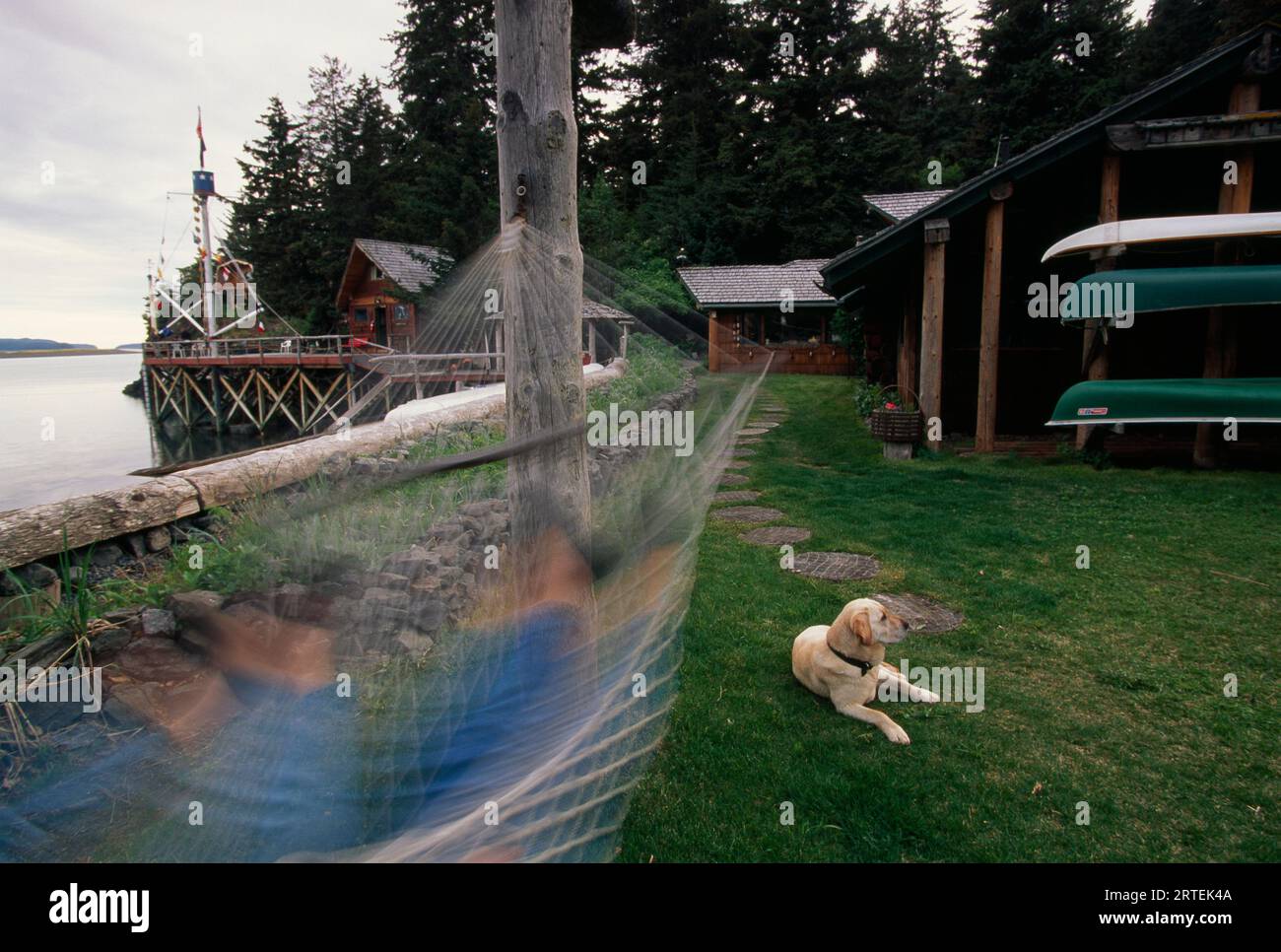 La persona oscilla su un'amaca lungo l'acqua con un cane steso sull'erba; Alaska, Stati Uniti d'America Foto Stock