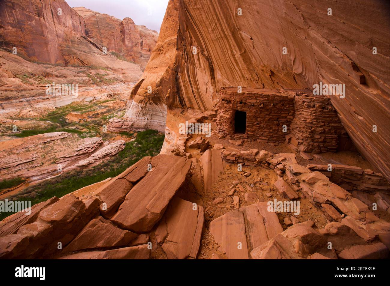 Acqua bassa presso Defiance House, An Anasazi Ruin, Glen Canyon National Recreation area, Utah, Stati Uniti; Utah, Stati Uniti d'America Foto Stock