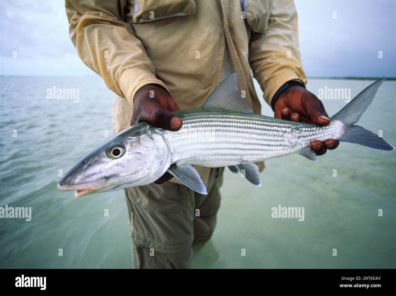 Fisherman regge un pesce rosso al largo dell'isola Great Exuma, delle Bahamas; Great Exuma Island, Bahamas Foto Stock
