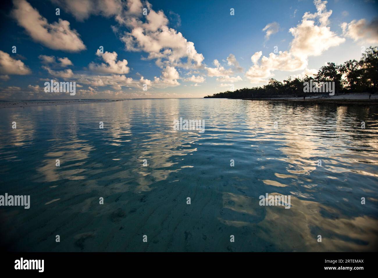 Acque calme al largo della costa dell'isola di Aldabra; isola di Aldabra, Seychelles Foto Stock