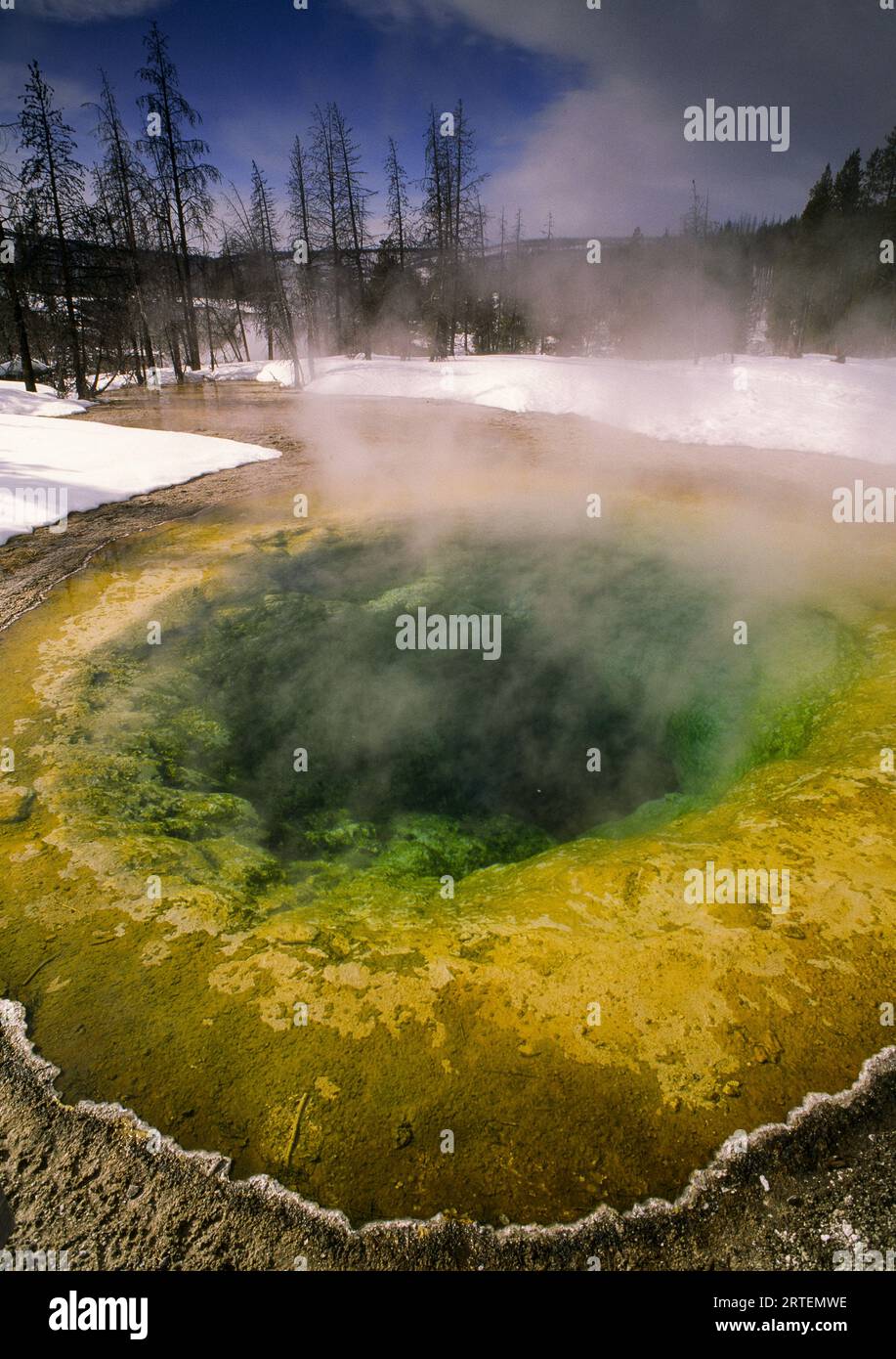 Morning Glory Pool presso Upper Geyser Basin nel parco nazionale di Yellowstone, USA; Wyoming, Stati Uniti d'America Foto Stock