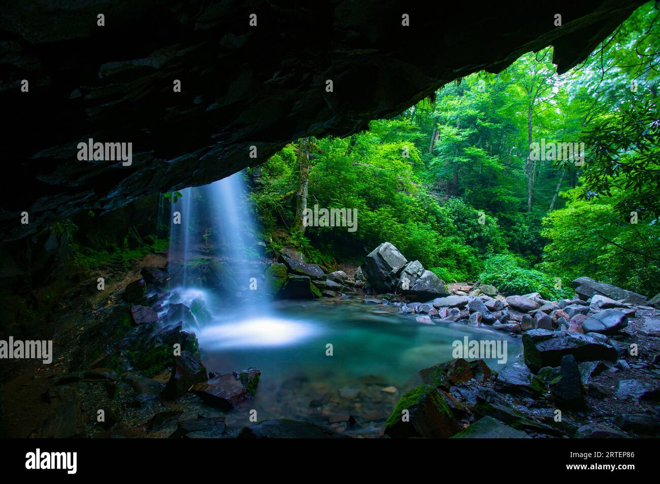 Cascate Grotto Falls sul Roaring Fork Creek, Great Smoky Mountains National Park, Tennessee, Stati Uniti; Tennessee, Stati Uniti d'America Foto Stock