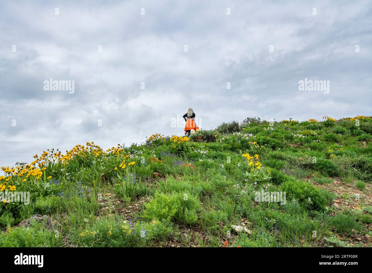 USA, Idaho, Hailey, donna bionda anziana che fa trekking sul sentiero Carbonate Mountain Foto Stock