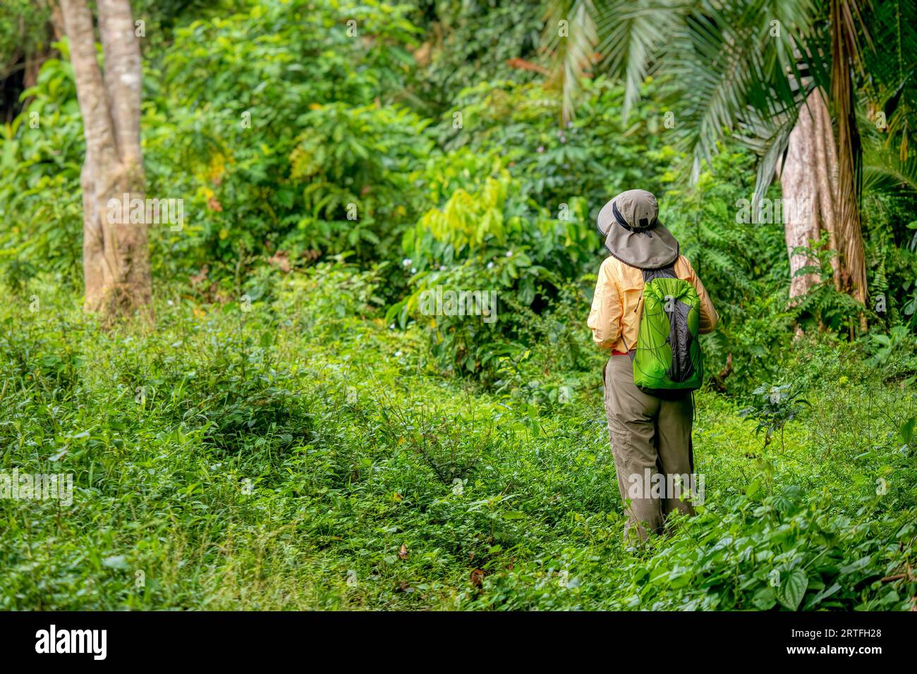 Una donna in piedi e in ascolto per gli uccelli durante un'escursione attraverso una lussureggiante foresta verde in Uganda. Foto Stock