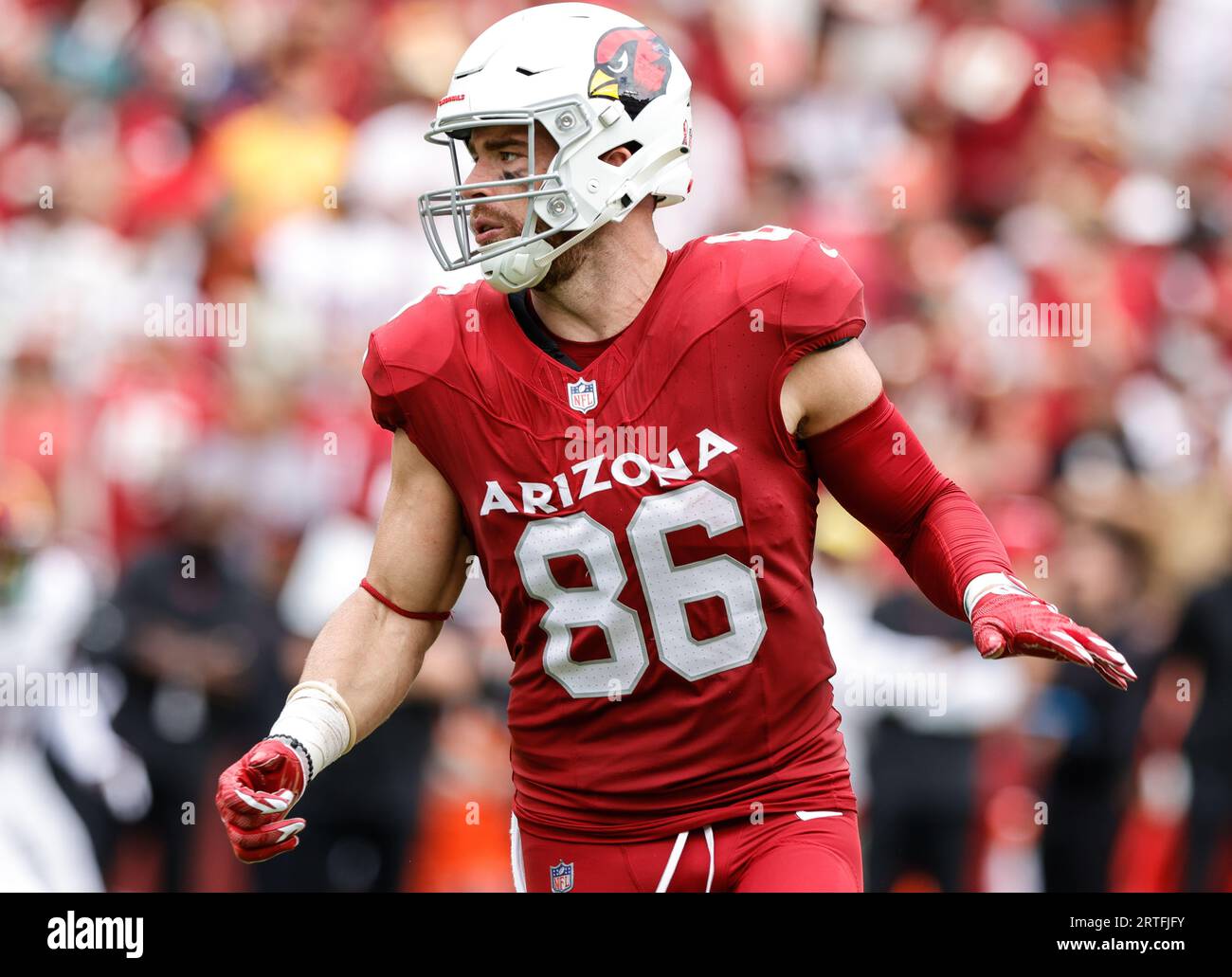 Te Zach Ertz (86) degli Arizona Cardinals in posizione alla partita Arizona Cardinals vs Washington Commanders (settimana 1) del 10 settembre 2023 al FedEx Field di Landover, MD. (Alyssa Howell/Image of Sport) Foto Stock