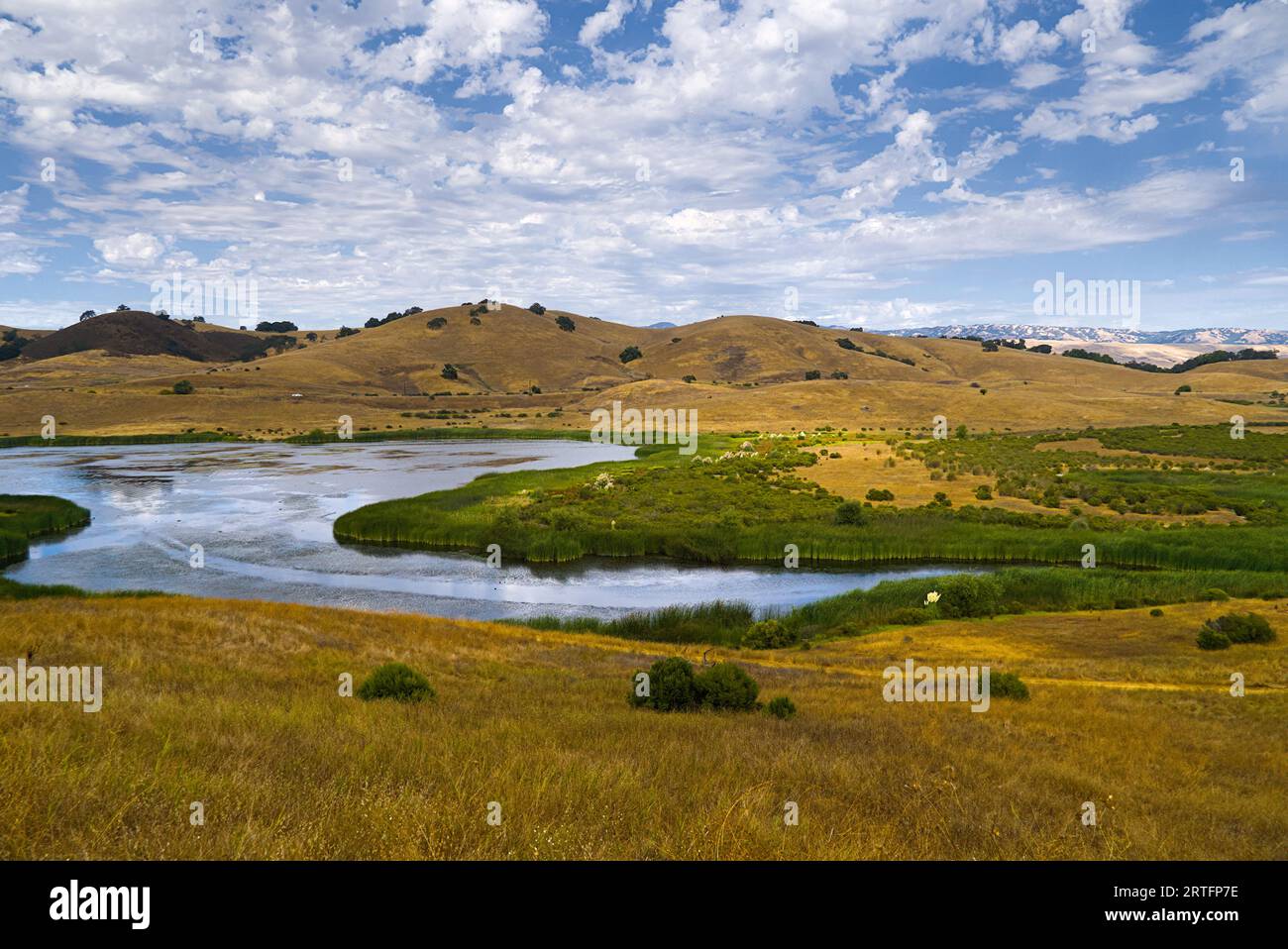 Lago artificiale di Calero e colline ondulate in una giornata di sole. Foto Stock