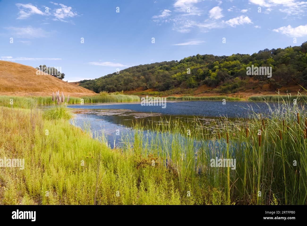 Lago artificiale di Calero e colline ondulate in una giornata di sole. Foto Stock