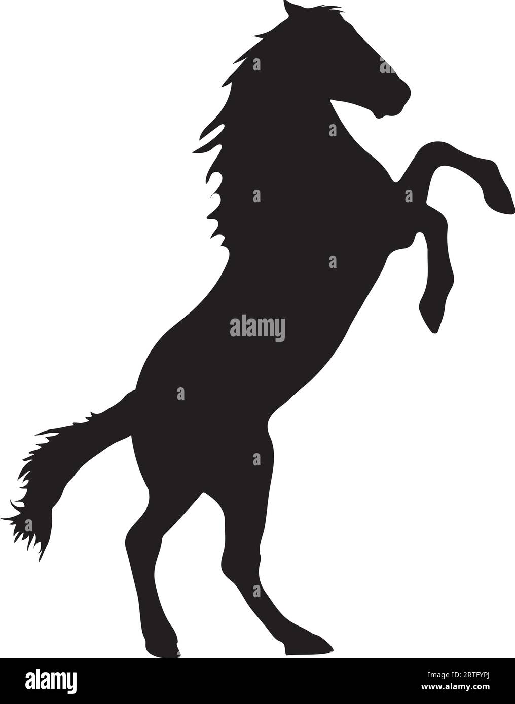 Silhouette a cavallo nero, vettoriale o illustrazione Illustrazione Vettoriale
