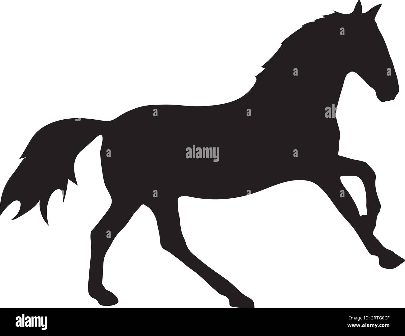 Sagoma di cavallo o vettore su sfondo bianco Illustrazione Vettoriale