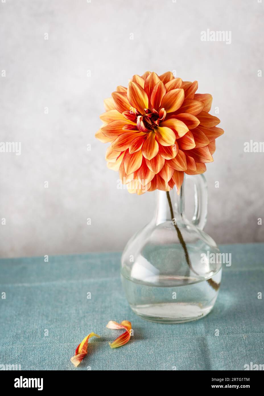 Vaso di vetro trasparente e colore grigio, arancio, rosso e giallo