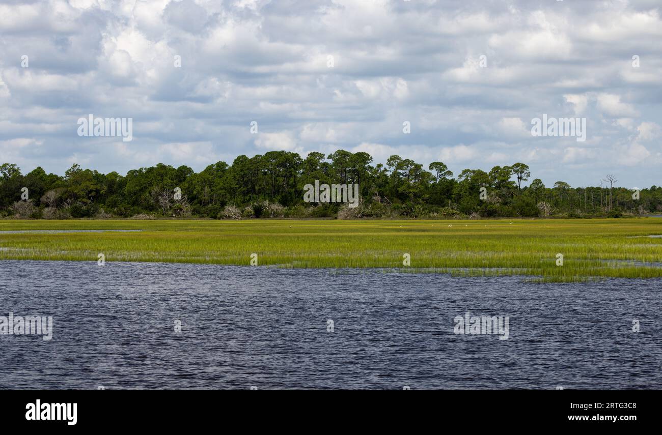 Palude salata lungo il fiume Tolomato in Florida. Foto Stock