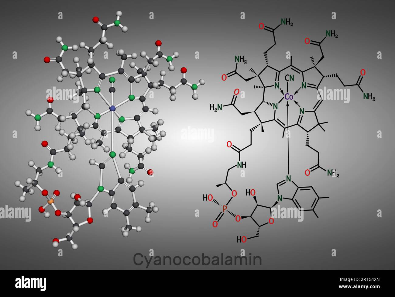 Cianocobalamina, molecola di cobalamina. È una forma di vitamina B12. Formula chimica strutturale e modello molecolare. Illustrazione Foto Stock
