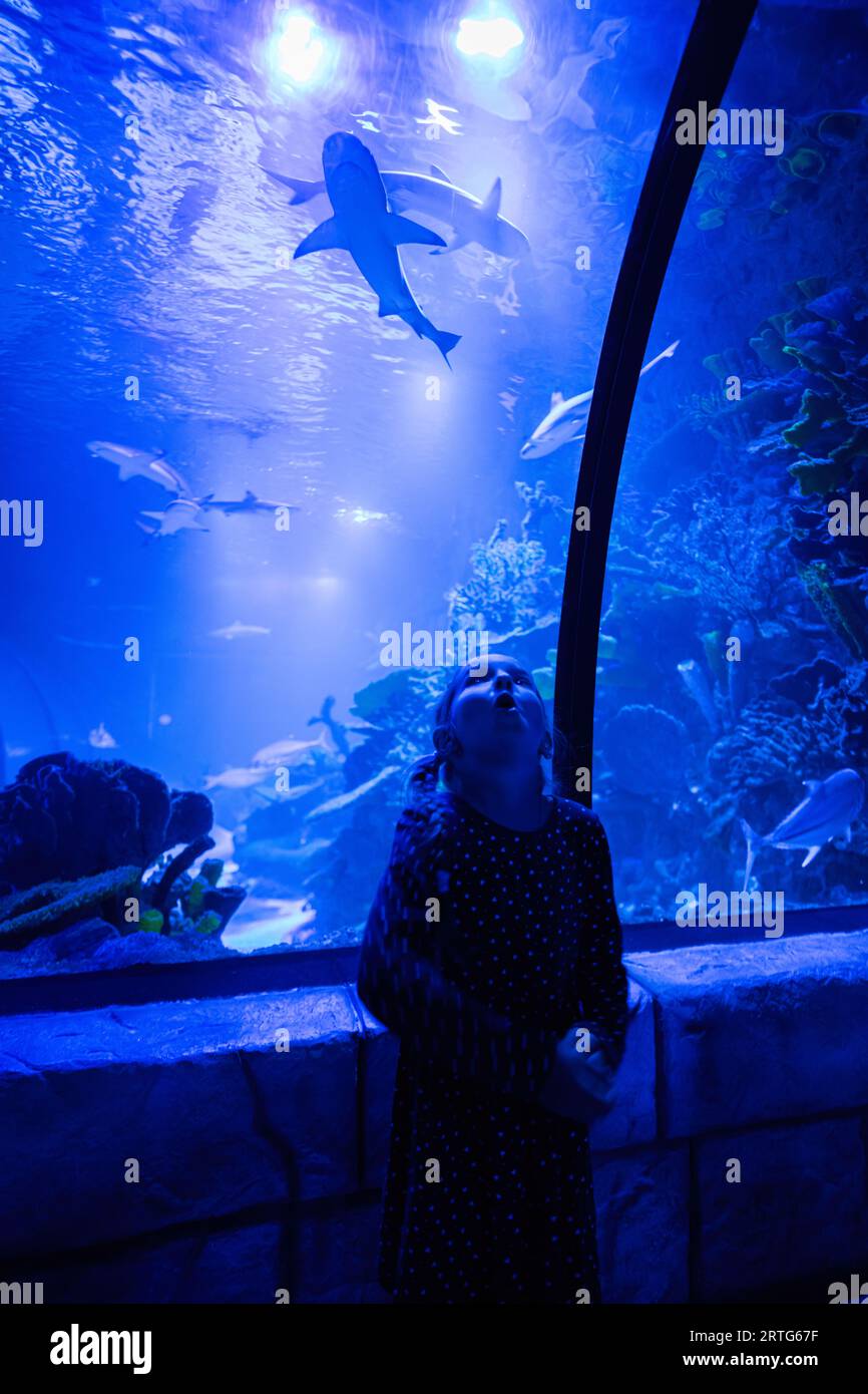 Bambina che guarda pesci e squali nell'oceanarium. Divertiti nella vasca espositiva dell'oceano. Foto Stock