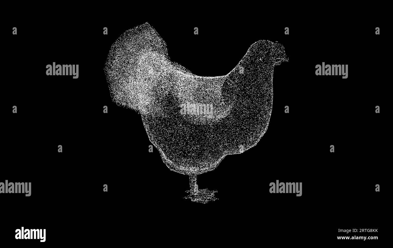 Penna 3D su sfondo nero. Concetto di animali domestici e di fattoria. Produzione di carne e uova di gallina. Sfondo pubblicitario aziendale. Per titolo, testo Foto Stock