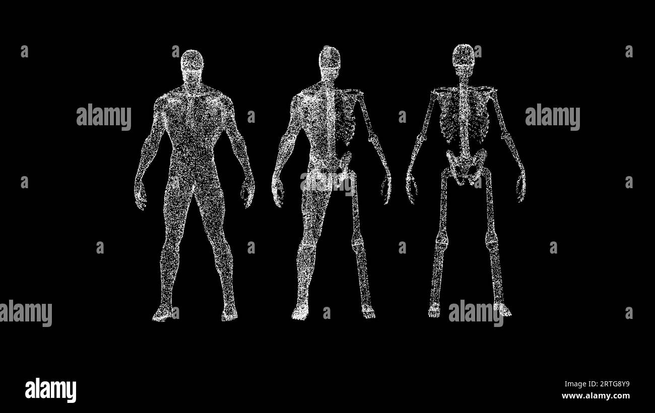 Anatomia uomo 3D su sfondo nero. Concetto medico e scientifico. Anatomia del corpo maschile. Sfondo pubblicitario aziendale. Per titolo, testo Foto Stock