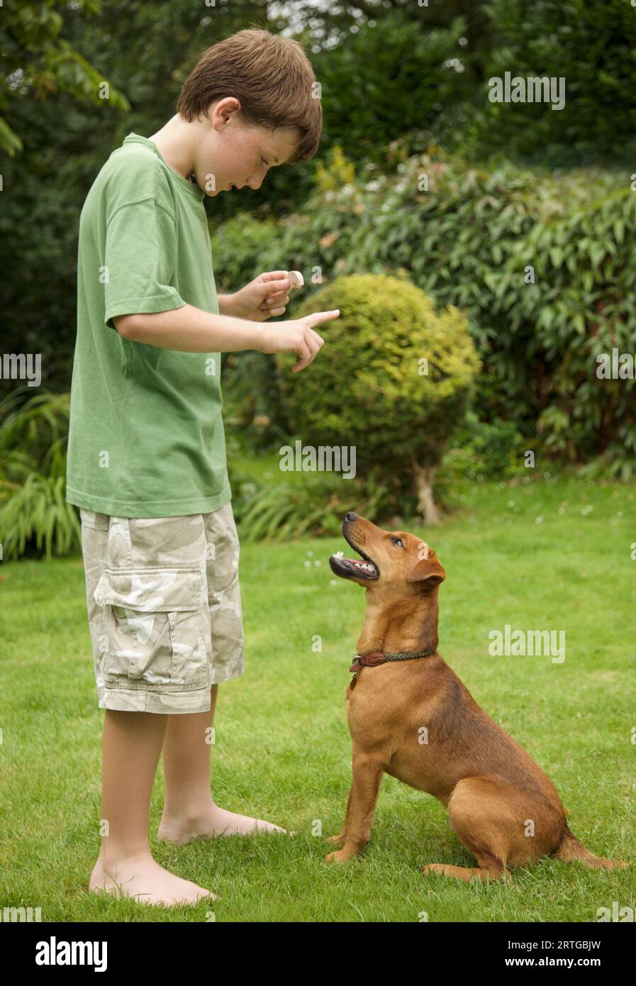 Giovane ragazzo in formazione il suo cane per sedersi Foto Stock