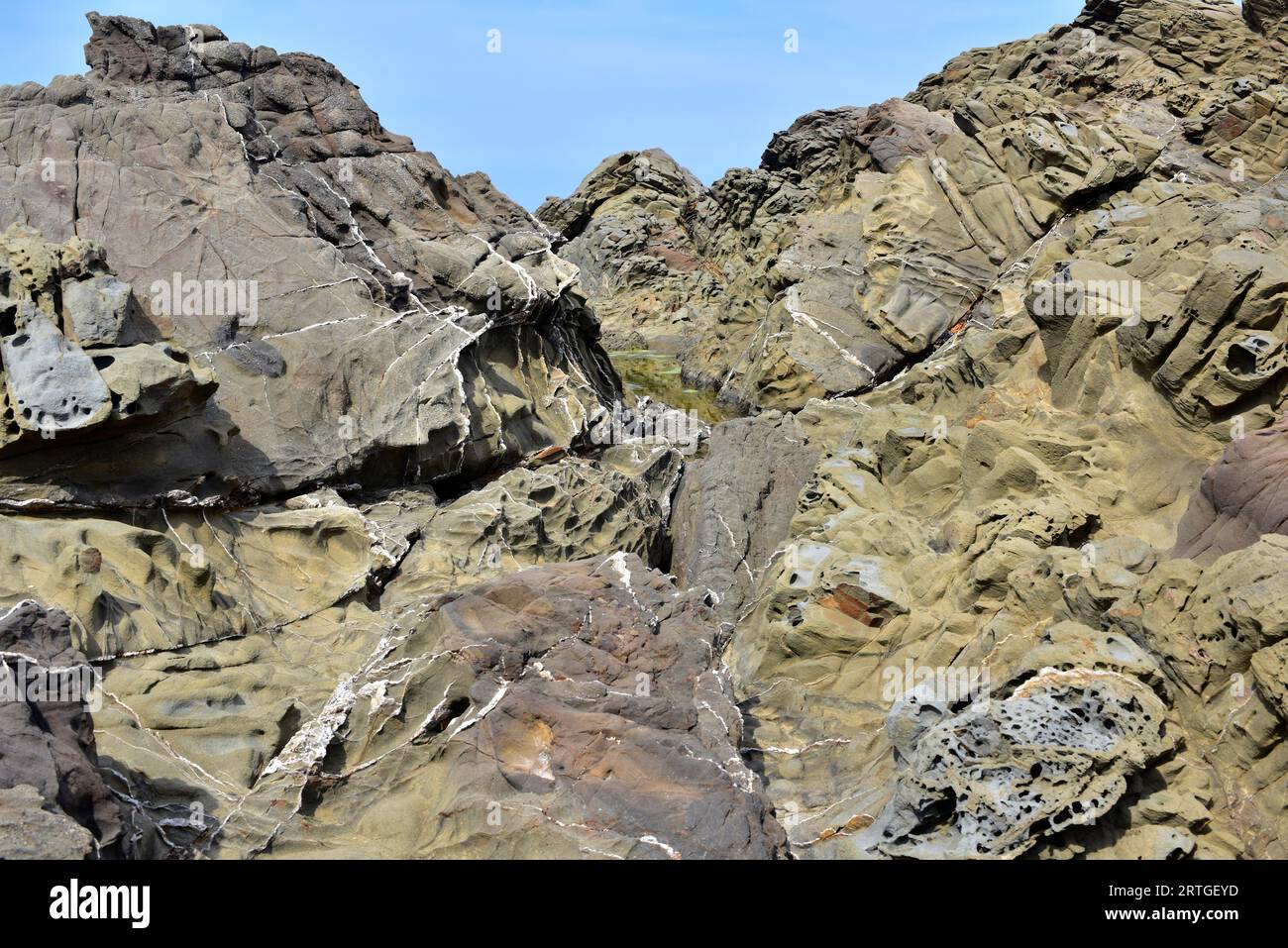 Arenaria e turbidite di carbonifero con vene di quarzo. Questa foto è stata scattata a Cap Favaritx, isola di Minorca, Isole Baleari, Spagna. Foto Stock