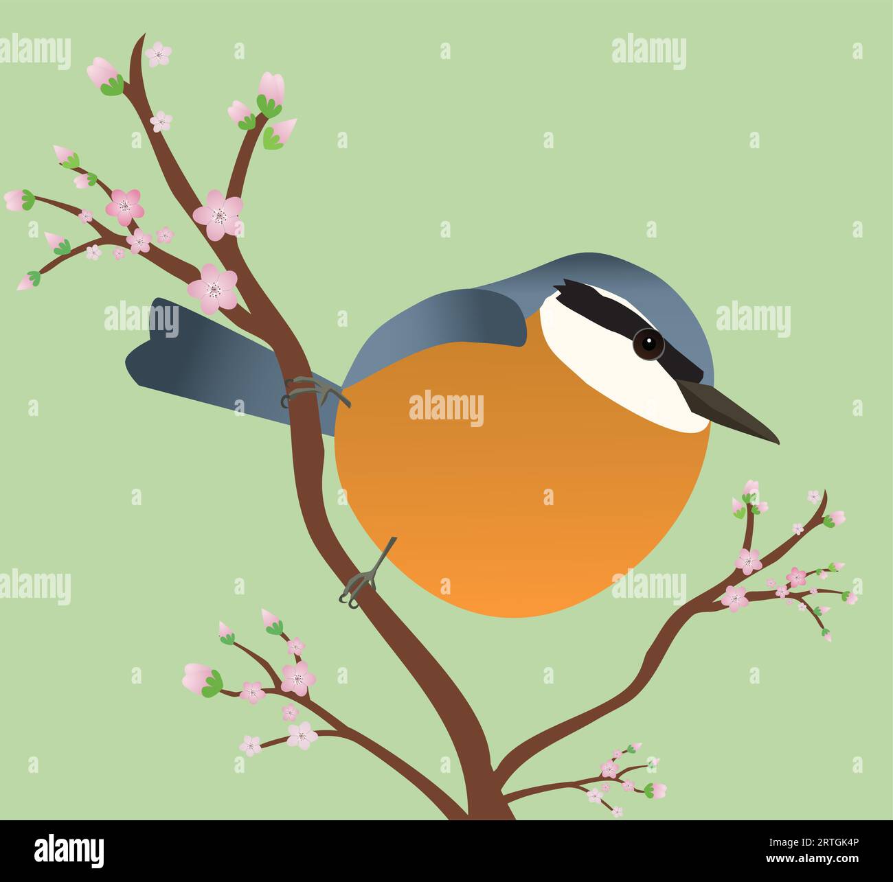 Un'illustrazione vettoriale di una nuthatch a forma di uovo. L'uccello è seduto su un ramo diagonale con fioritura. Illustrazione Vettoriale