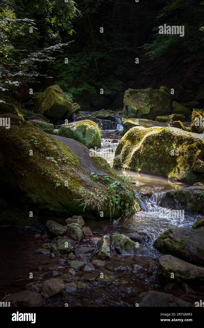 Acqua che cade e una piccola cascata tra le rocce solide nella foresta di Mullerthal, un ambiente da favola in Lussemburgo Foto Stock