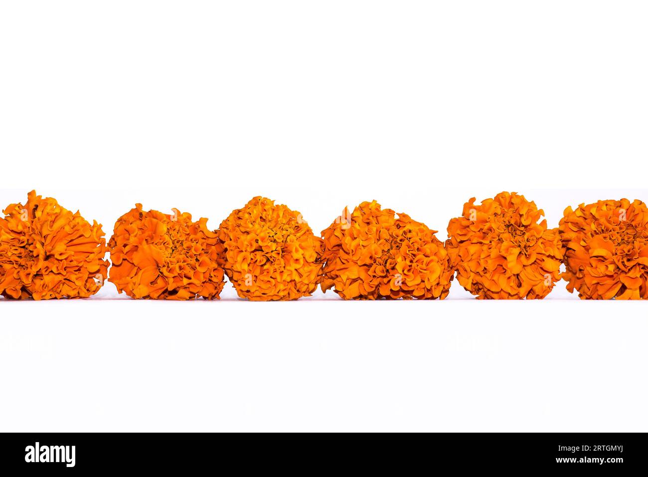 Fiori di calendula arancio disposti per rituali è una vista comune in India, dove questo fiore è usato per tutti i rituali indù tradizionali Foto Stock