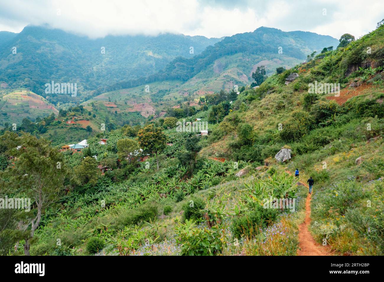Escursionisti su un sentiero sterrato nelle montagne Uluguru a Mororgoro Town, Tanzania Foto Stock