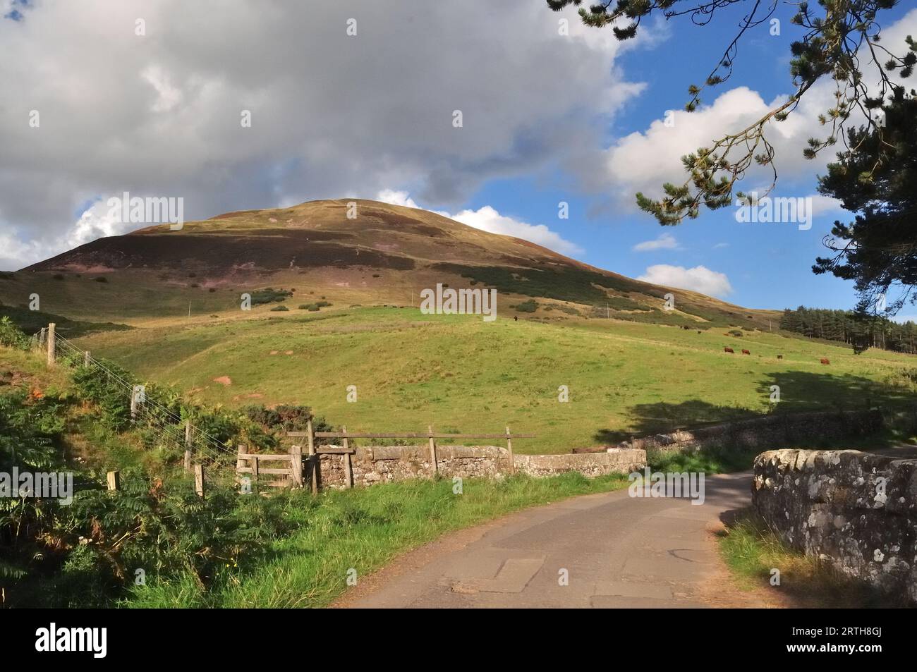 Foto di Pentland Hills, scattata in una soleggiata giornata autunnale. Parco regionale di Pentland. Foto Stock