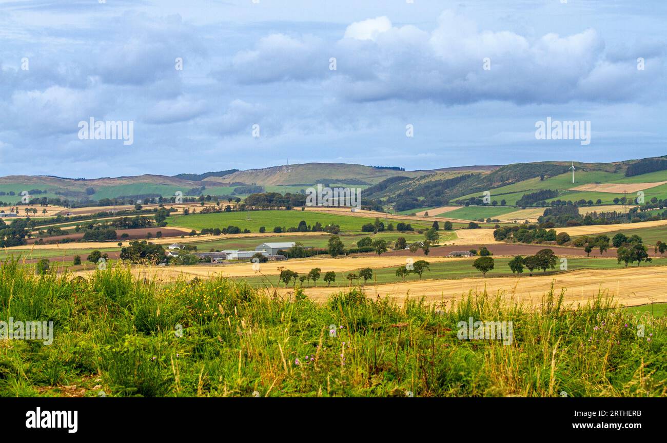 Vista panoramica di settembre sulle Sidlaw Hills e Strathmore Valley a Dundee, Scozia Foto Stock