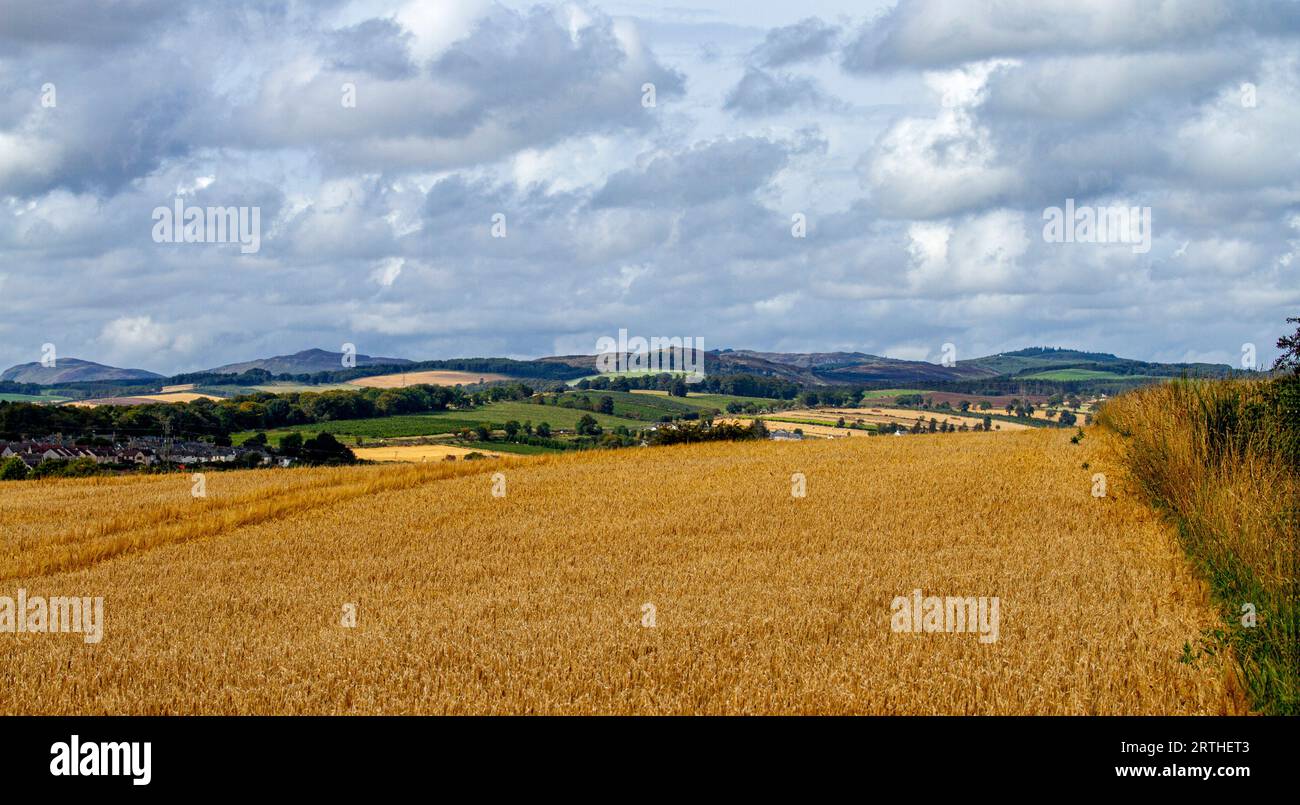 Vista panoramica di settembre sulle Sidlaw Hills e Strathmore Valley a Dundee, Scozia Foto Stock