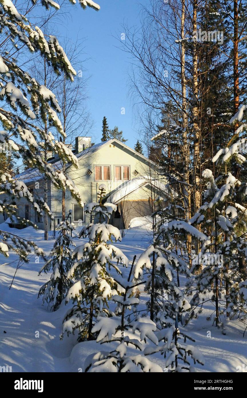 Paesaggio innevato finlandese al confine russo, Lentiira, Finlandia Foto Stock