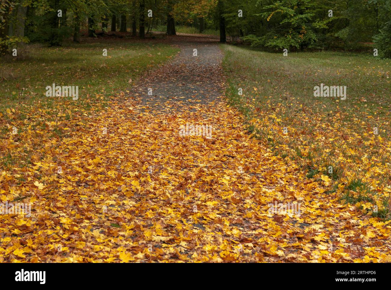 Questa singola immagine appartiene alla mia serie di immagini Foto Stock