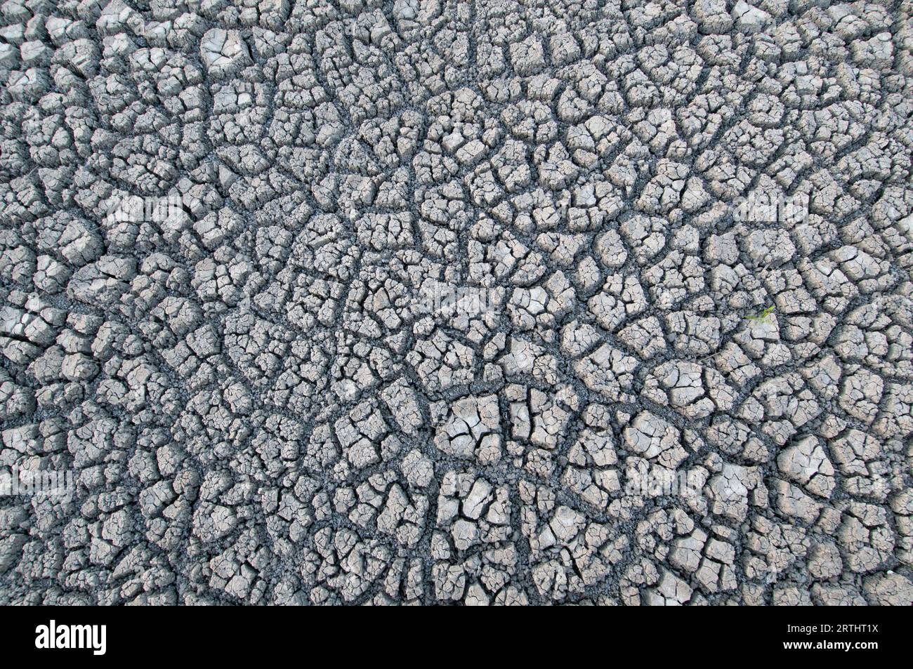 Terra spaccata a causa della siccità Foto Stock