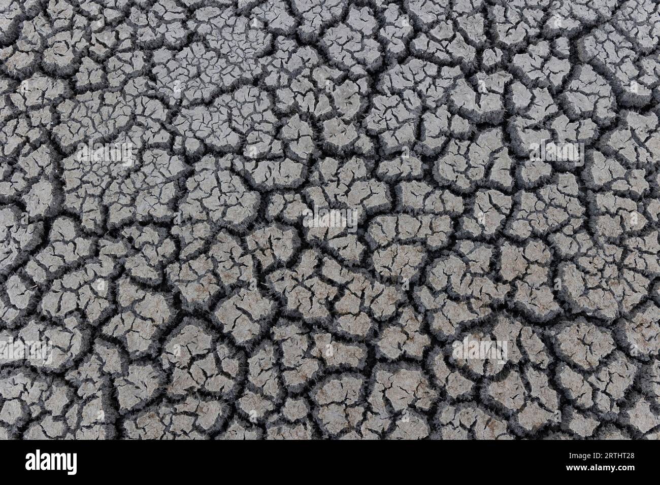 Terra spaccata a causa della siccità Foto Stock